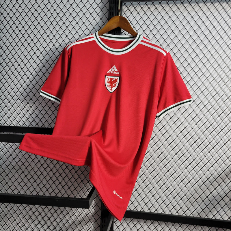 CAMISA DA SELEÇÃO DO PAIS DE GALES 22/23 VERMELHO